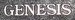 Genesis Physics Corporation